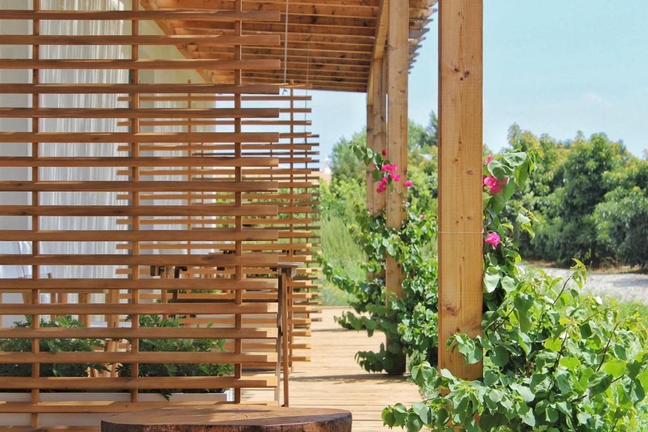 Abacatus Farmhouse Tavira Exterior photo